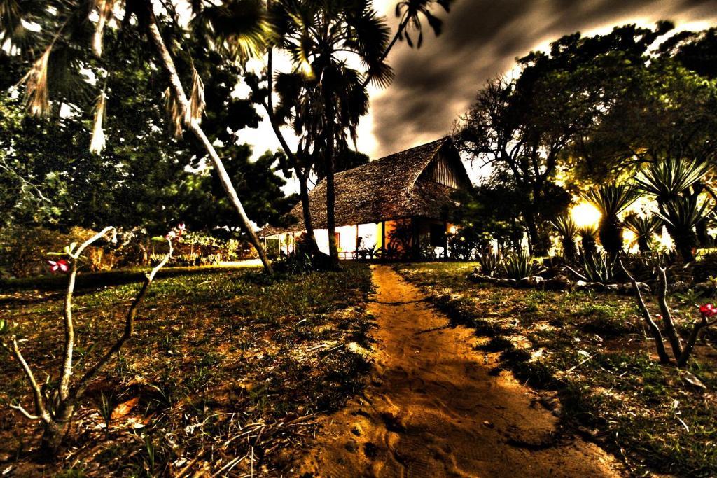 Amani Beach Resort Kutani Exterior foto