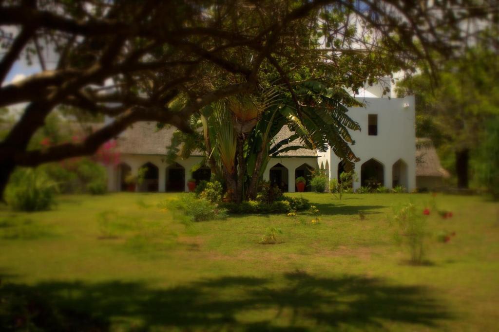 Amani Beach Resort Kutani Exterior foto